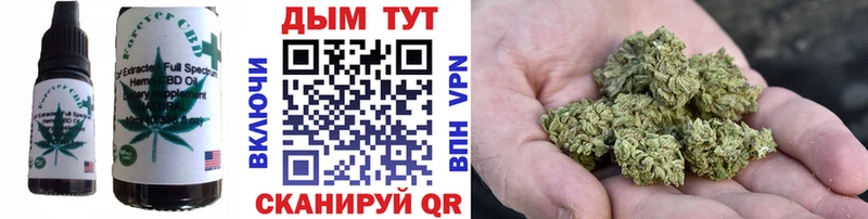 Купить  Куйбышев  Еда ТГК конопля 