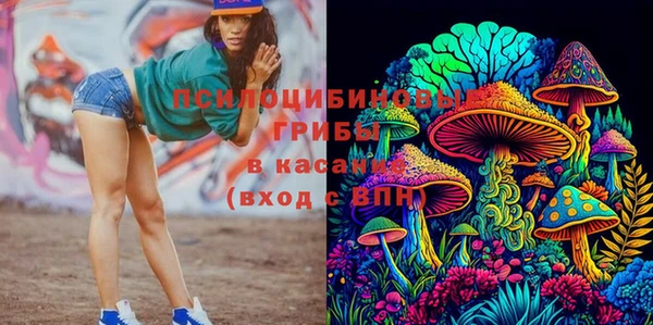 мяу мяу мука Вяземский