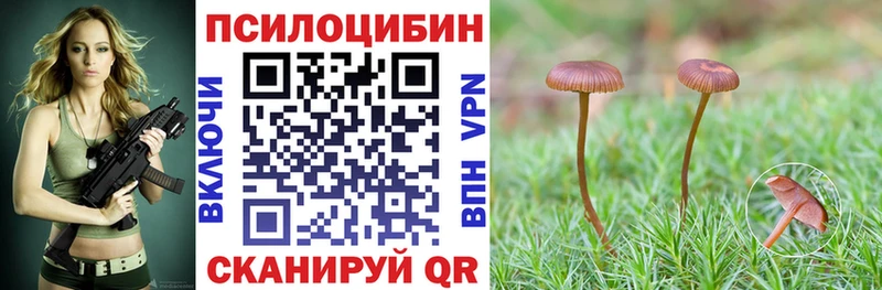 Галлюциногенные грибы Psilocybine cubensis  Купить где  Куйбышев 